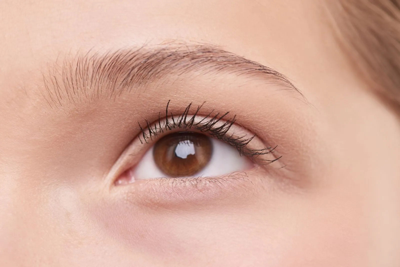 What to Expect During Brow Waxing